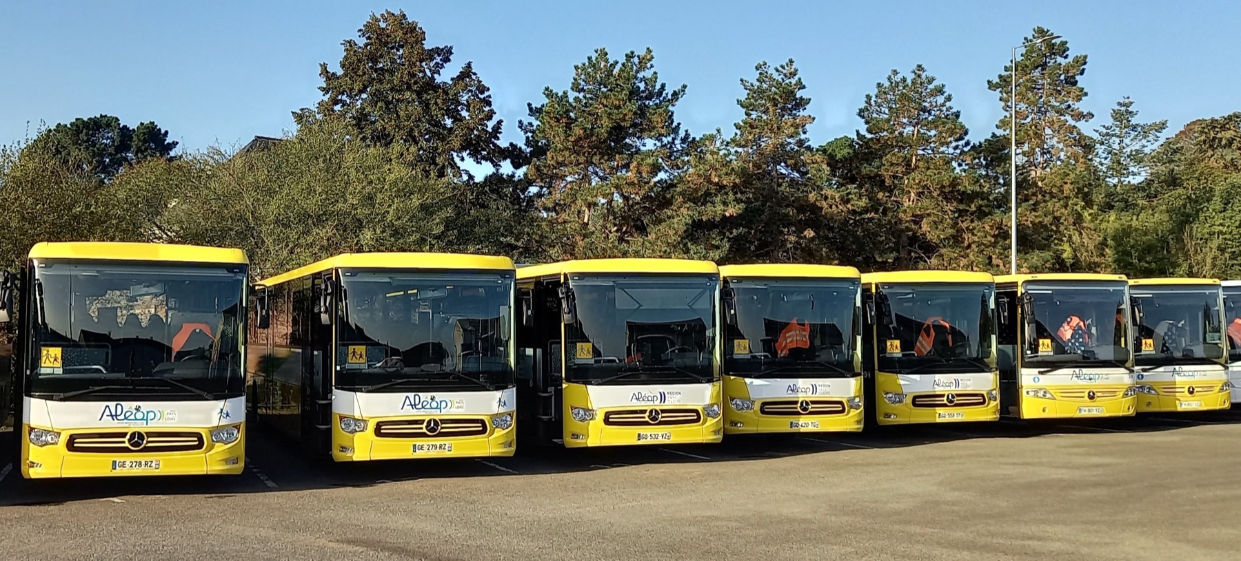 Transport scolaire