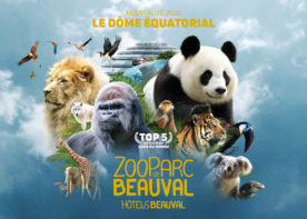 Zoo-de-Beauval-ZooParc-de-Beauval Zoo-de-Beauval-ZooParc-de-Beauval